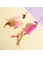 1xpink Püskül Sopa Stili Yeni Kedi Yavrusu Teaser Değnek Oyuncaklar Fare ile Çubuk, Zil, Tüy, Elastik Ip ve Püskül, Interaktif Eğlence, Evcil Hayvanlar Için Cat Catcher (Yurt Dışından) 5