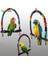 Tahta Çubuk 10CM Tarzı Ahşap Kuş Salıncak Oyuncak Cockatiels Parakeets Kafes Aksesuarları Için Asılı Bells ile Kuş Kafesi Papağan Levrek Standı Oyun Spor Salonu (Yurt Dışından) 3