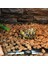 14X15CM Tarzı Isı Mat Sürüngen Brooder Kuluçka Pet Isıtma Pedi Brew Ab Tak 7W 14W 20W 28W Sıcak Satış (Yurt Dışından) 5