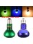 MAVI-100W Stili Pet Isıtma Lambası Gündüz Gece Amfibi Kuş Yılan Basking Güneş Lambası Isı Sürüngen Ampul 25W 50W 75W 100W (Yurt Dışından) 3
