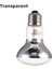 MAVI-100W Stili Pet Isıtma Lambası Gündüz Gece Amfibi Kuş Yılan Basking Güneş Lambası Isı Sürüngen Ampul 25W 50W 75W 100W (Yurt Dışından) 4