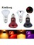 Gümüş 50W Tarzı Sürüngen Lamba Mini Pet Isıtma Lambası E27 Uv Gündüz Gece Amfibi Kaplumbağa Yılan Lamba Isı Sürüngen Ampul Işık Ac (Yurt Dışından) 2