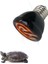 50W Tarzı 60X60 220V Uzak Kızılötesi Isıtma Lambası Siyah Seramik E27 Pet Isıtıcı Ampul Brooder Tavuklar Kaplumbağa Kertenkele Sürüngen Işık (Yurt Dışından) 3