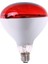 Gül Kırmızı 100W Stili Yeni Çiftlik Sevimli Işık Termal Koruma Domuz Tavuk Isı Lambası Kızılötesi Işın LED Kuluçka Köpek Kedi Kırmızı Beyaz Renk (Yurt Dışından) 5