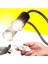 50W ve Beyaz Tutucu Stili 110V Uva+Uvb 3.0 Sürüngen Lamba Seti Klipsli Lamba Tutucu Ampul Termometre Higrometre Kaplumbağa Kaplumbağa Kertenkele Basking Isı Işığı (Yurt Dışından) 3