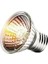 E27 50W Tarzı Sürüngen Lamba Uva+Uvb 3.0 Pet Isı Lambası Ampul Kaplumbağa Güneşlenme Uv Ampulleri Amfibi Kertenkeleler Sıcaklık Kontrol Cihazı (Yurt Dışından) 3