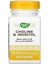 Nature's Way Choline & Inositol 1 000 Mg 100 Capsul Usa Version 1