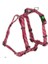 Belden Bağlamalı Tasma Colorado Fuşya 55 - 76 cm 1