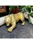Gold Renk Panter Biblo 4