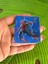 6 x 5 cm 3 Boyutlu Değişen Spider Man Arma Dikiş Giyim Aksesuarı 3