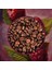 Decaf Raspberry Coffee - Kafeinsiz Ahududu Aromalı Çekirdek Kahve, 200 Gr 3