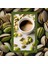 Mim And More Decaf Pistachio Coffee Kafeinsiz Antep Fıstığı Aromalı Filtre Kahve 200 gr 3