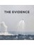 The Evidence 1