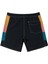 Original Arch Panel 18 Erkek Boardshort 2