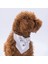 Gri Smokin Kedi Köpek Fuları Pet Bandanası 4