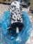 Ford Ranger Komple Şanzuman Manuel 6 Vites 2.2 2011-2019 3