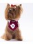 Bordo Smokin Kedi Köpek Fuları Pet Bandanası 5
