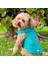 Yeni - Çam Yeşili Renk Kot Köpek Yeleği - Küçük Irklar Için Şık ve Rahat Yelek (0-15KG) 3