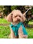 Yeni - Çam Yeşili Renk Kot Köpek Yeleği - Küçük Irklar Için Şık ve Rahat Yelek (0-15KG) 5