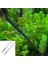 1pc B-Dirsek Stili 27CM Paslanmaz Çelik Akvaryum Cımbız Pense Balık Tankı Tesisi Aquascape Araçları Düz ​​kavisli Forseps Klip Sucul Besleme Maşası Aracı (Yurt Dışından) 5