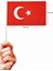 Küçük Boy Çıtalı Bayrak Türk Bayraklı Çıtalı Bayrak - 5 Adet 1
