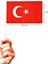 Büyük Boy Çıtalı Bayrak Türk Bayraklı Çıtalı Bayrak - 5 Adet 1
