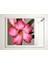 60X60 LED Panel Aydınlatma Armatür Avize Sıva Üstü Desenli Tekli 46510595SU 2