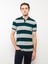Lcwaıkıkı Classic Polo Yaka Kısa Kollu Çizgili Pike Erkek Tişört 1