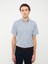 Lcwaıkıkı Classic Regular Fit Kısa Kollu Ekose Oxford Erkek Gömlek 2