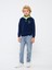 Lcw Kids Dik Yaka Nakışlı Uzun Kollu Polar Erkek Çocuk Sweatshirt 3