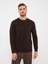 Lcwaıkıkı Classic Bisiklet Yaka Uzun Kollu Baskılı Erkek Sweatshirt 2