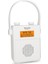 Dıgıtradıo 30 Radyo Bluetooth çalar 3
