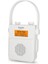 Dıgıtradıo 30 Radyo Bluetooth çalar 4