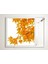60X60 LED Panel Aydınlatma Armatür Avize Sıva Üstü Desenli Tekli 46510568SU 2