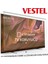 Vestel 49" inç 124 Ekran Koruyucu KIRILMAZ PANEL 1