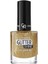 Extreme Glitter Shine Nail Color 10.2ml NO213 1