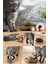Kedi Tırmalama Oyuncağı, Sihirli Kedi Oyuncağı, Çıngıraklı Tırmalama Panosu, Kedi Oyuncağı 1