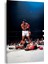 Muhammed Ali Kanvas Tablo 5