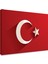 Al Bayrak Kanvas Tablo 2