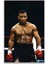 Mike Tyson Kanvas Tablo 4