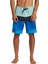 Surf Silk Panel 18 Erkek Boardshort 5