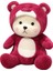 Dönüştürülmüş Teddy Bear Peluş Oyuncak (Yurt Dışından) 1