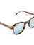 The Warhol Cheetah Txr 3