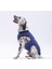 Lacivert Travel Büyük Köpek Tişörtü - Köpek Kıyafeti (15 Kg-45 Kg) 3