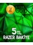 Gold 5 Tl 1