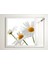60X60 LED Panel Aydınlatma Armatür Avize Sıva Üstü Desenli Tekli 46510608SU 2