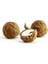 5'li Set Truffle Day Hindistan Cevizli 66GX5 1
