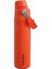 The Aerolight Iceflow Soğuk Su Termosu 0,60 Lt (20 Oz) - Tigerlily 1