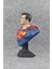 Pwul Works Superman 20 cm Boyut Figür Büst 3