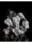Planet Of The Apes Astronot Goril Hareketli Oyuncak Büyük Boy 30CM 1